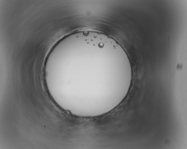 X0000111230289200907161323