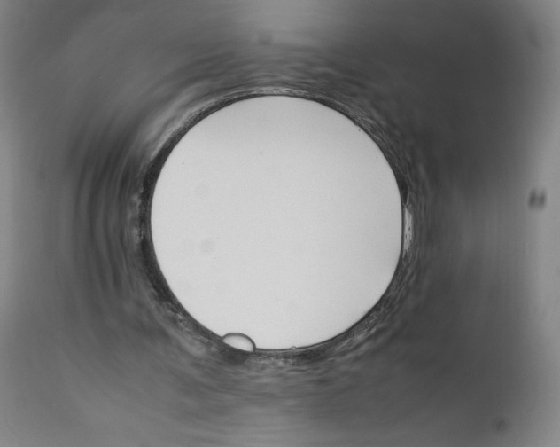 X0000111230291200907161323