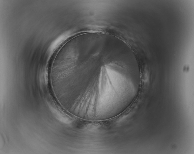 X0000111230294200907161323