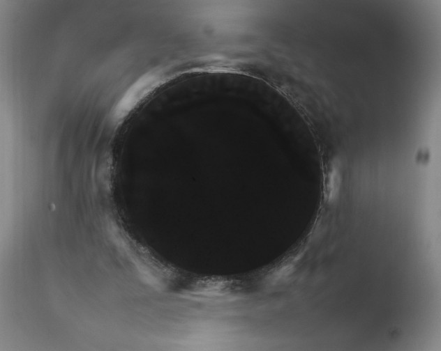 X0000111230295200907161323
