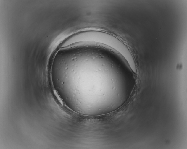 X0000111230296200907161323