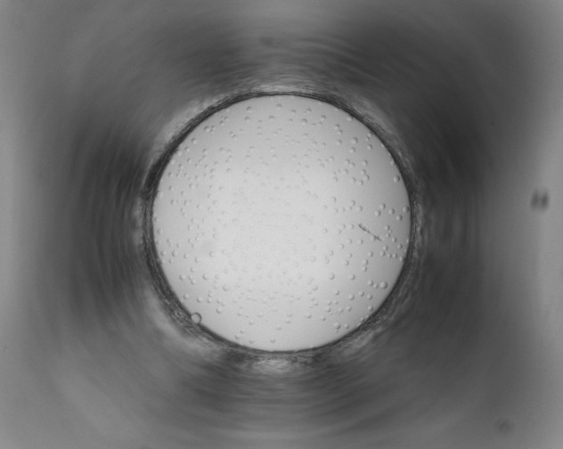 X0000111230298200907161323
