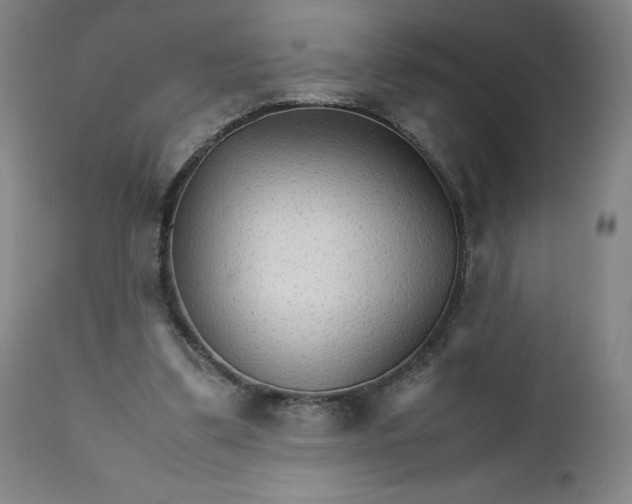 X0000111230299200907161323