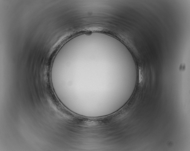 X0000111230300200907161323