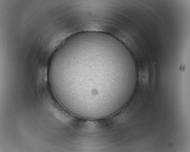 X0000111230302200907161323