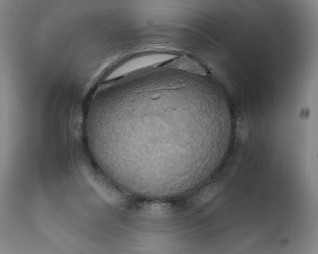 X0000111230304200907161323