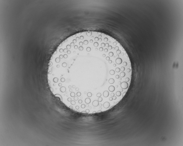 X0000111230307200907161323