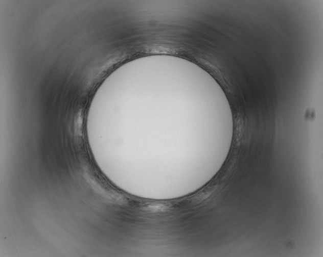 X0000111230310200907161323