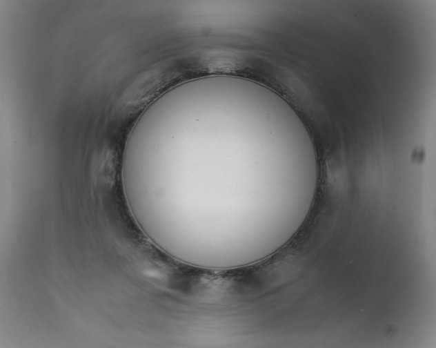 X0000111230311200907161323