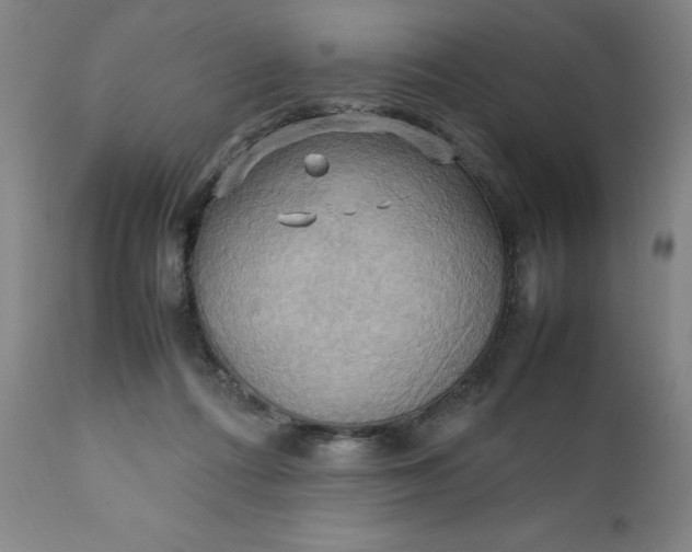 X0000111230312200907161323