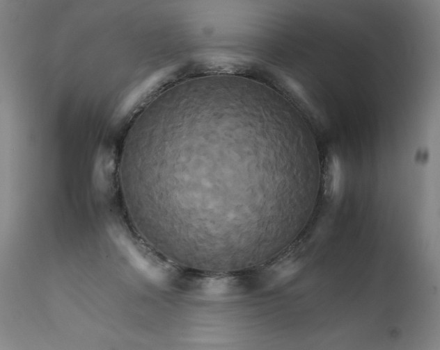 X0000111230314200907161323