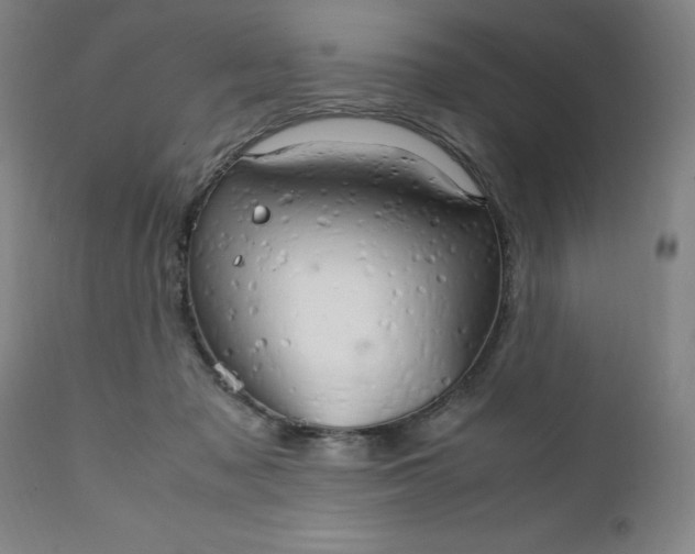 X0000111230317200907161323