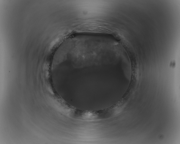 X0000111230319200907161323