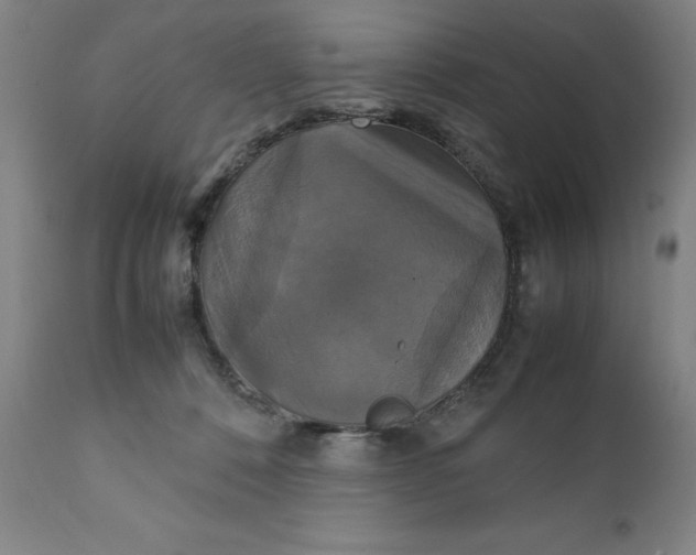 X0000111230320200907161323