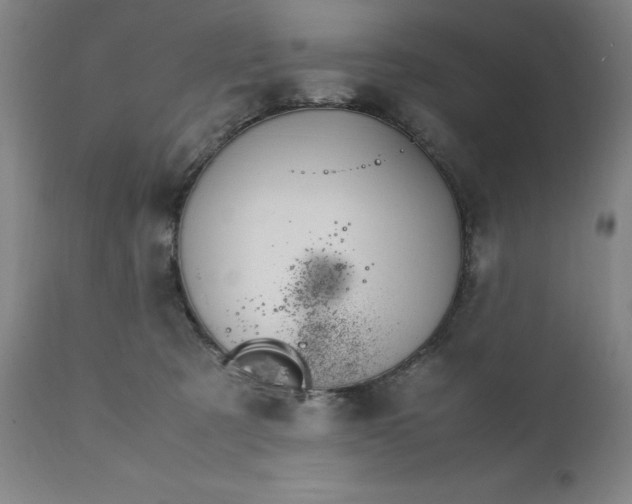 X0000111230321200907161323