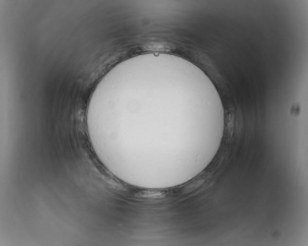 X0000111230322200907161323