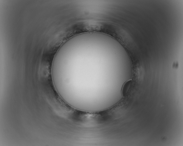 X0000111230323200907161323