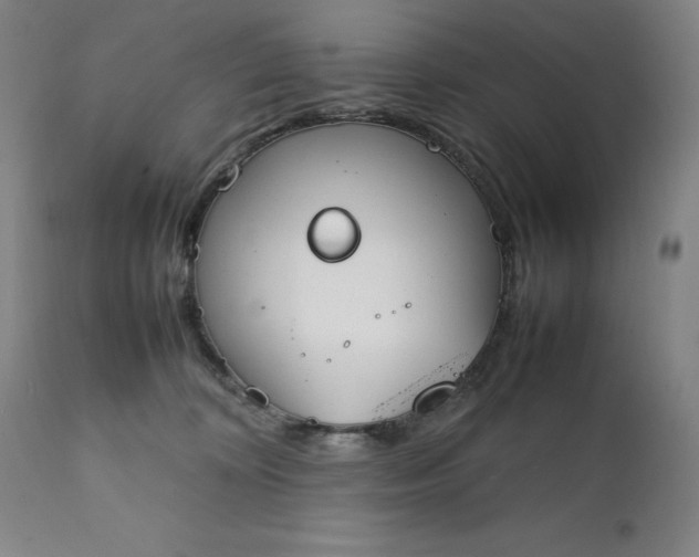 X0000111230324200907161323