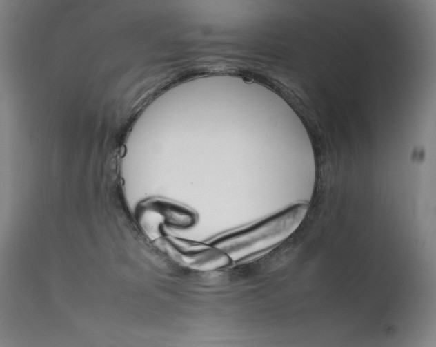 X0000111230325200907161323