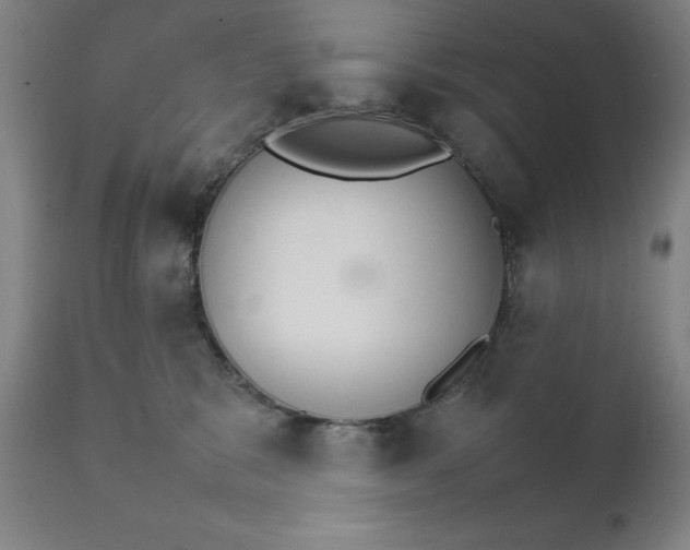 X0000111230327200907161323