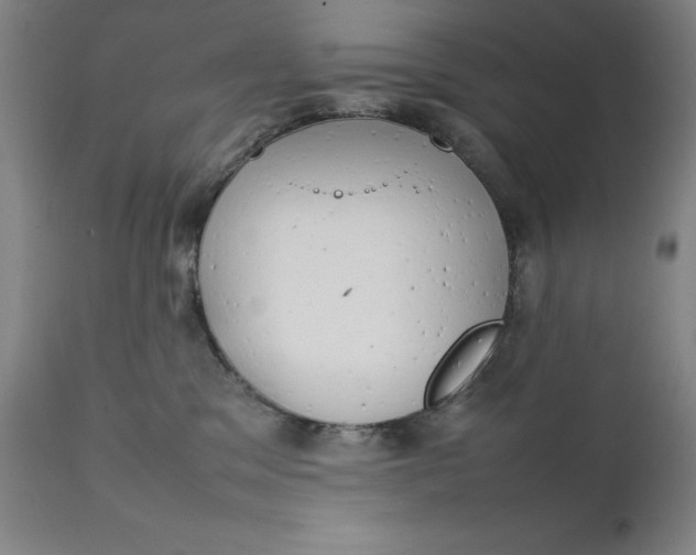 X0000111230329200907161323