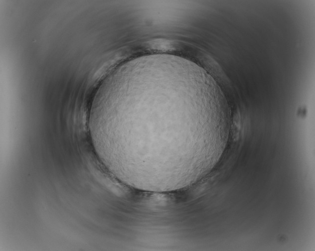 X0000111230330200907161323