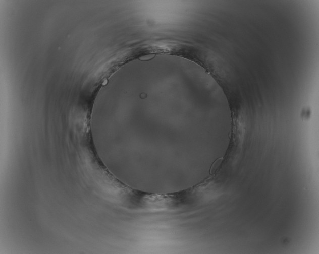 X0000111230331200907161323