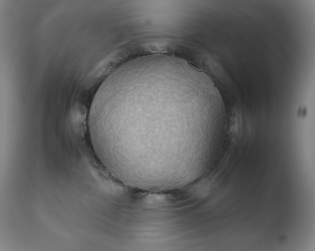 X0000111230332200907161323