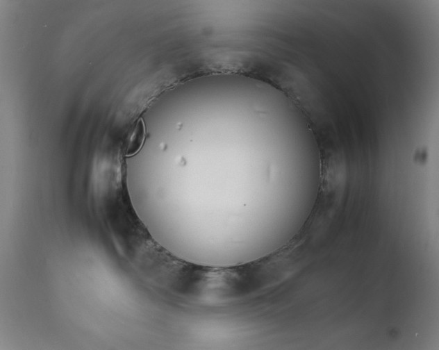 X0000111230334200907161323