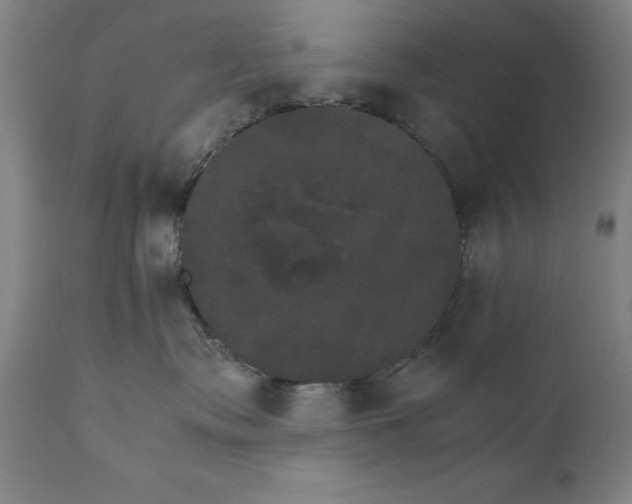X0000111230335200907161322