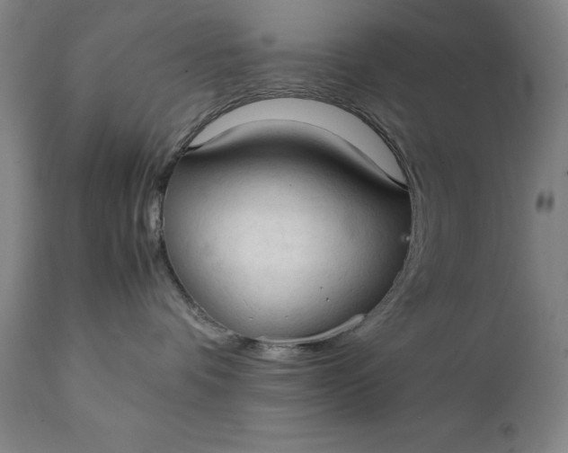 X0000111230336200907161322