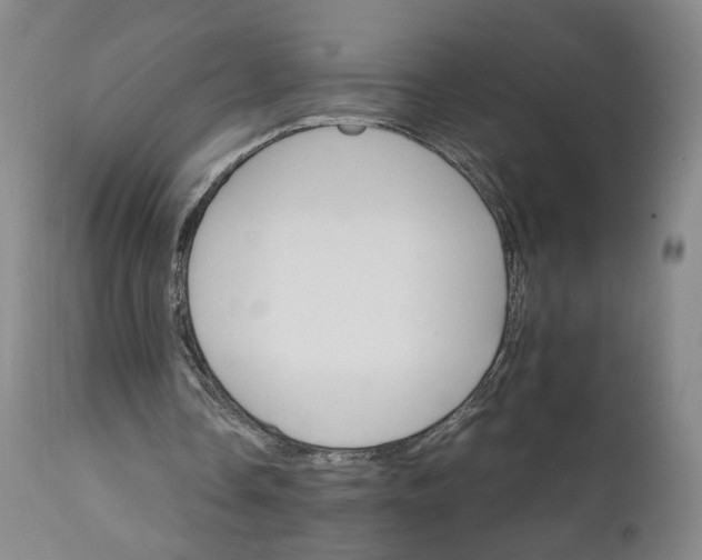 X0000111230338200907161322