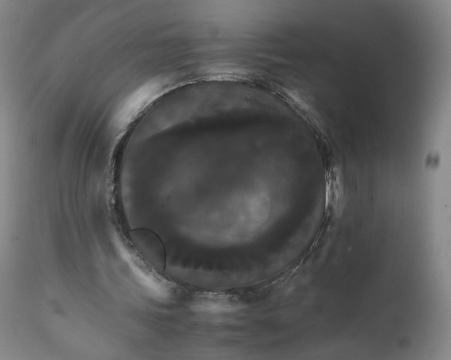 X0000111230339200907161322