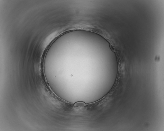 X0000111230340200907161322