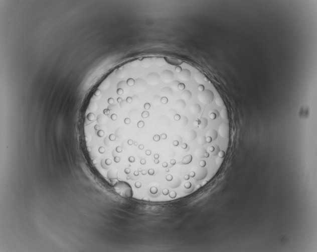 X0000111230341200907161322