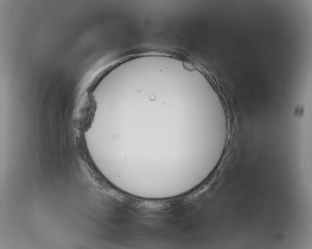 X0000111230343200907161322