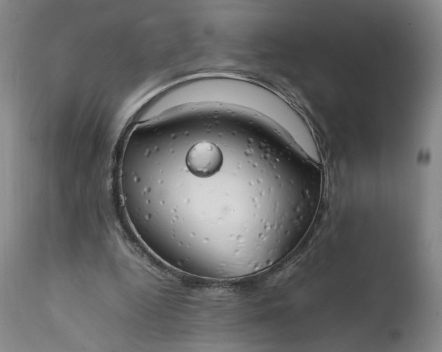 X0000111230344200907161322