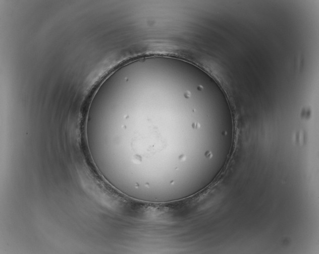 X0000111230346200907161322