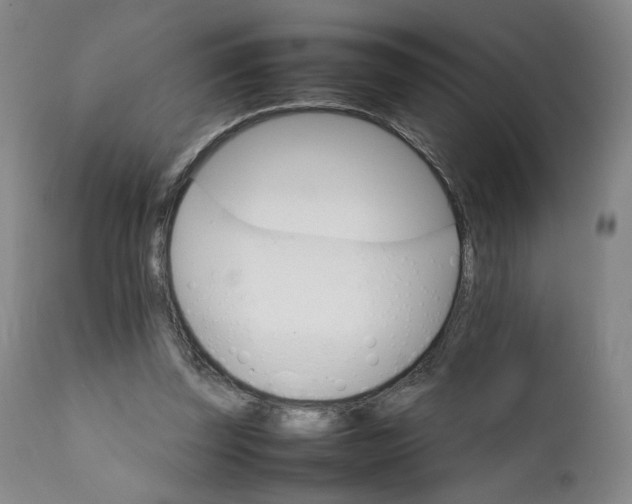 X0000111230347200907161322
