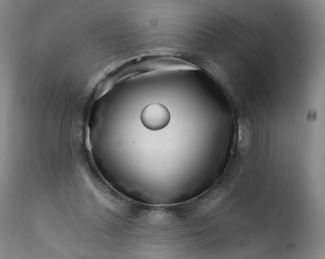 X0000111230348200907161322