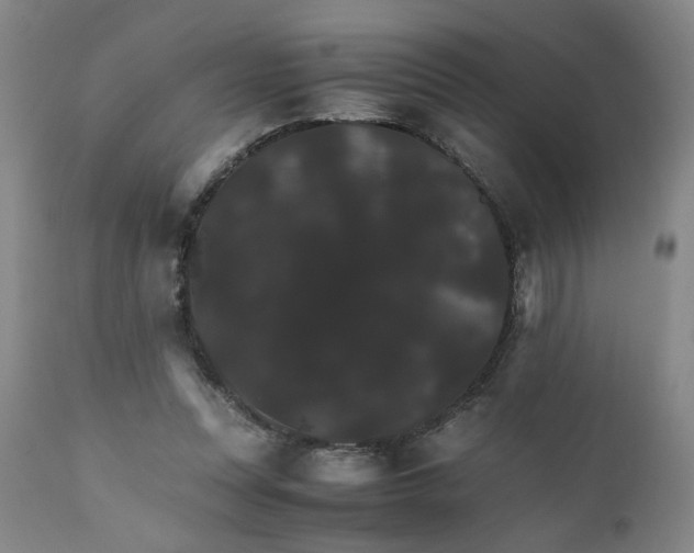X0000111230351200907161322