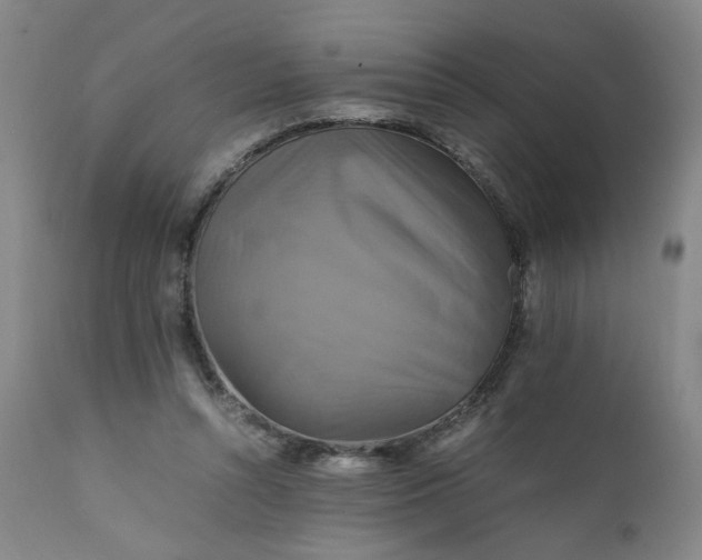 X0000111230352200907161322