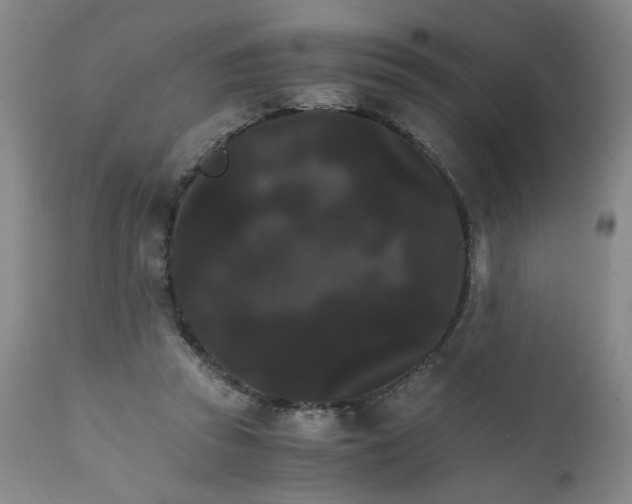 X0000111230353200907161322