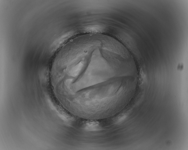 X0000111230355200907161322