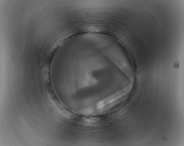 X0000111230359200907161322