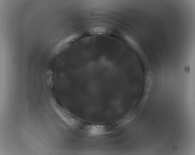 X0000111230361200907161322