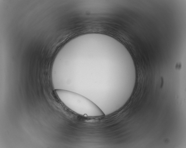 X0000111230362200907161322