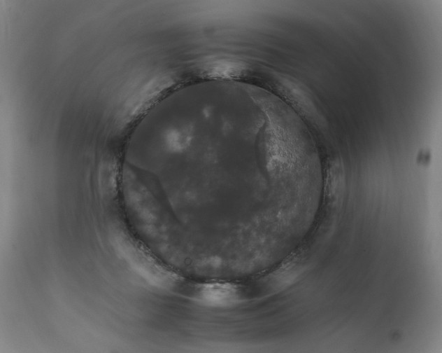 X0000111230363200907161322