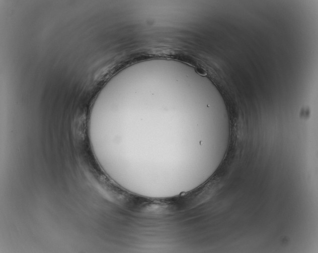 X0000111230364200907161322