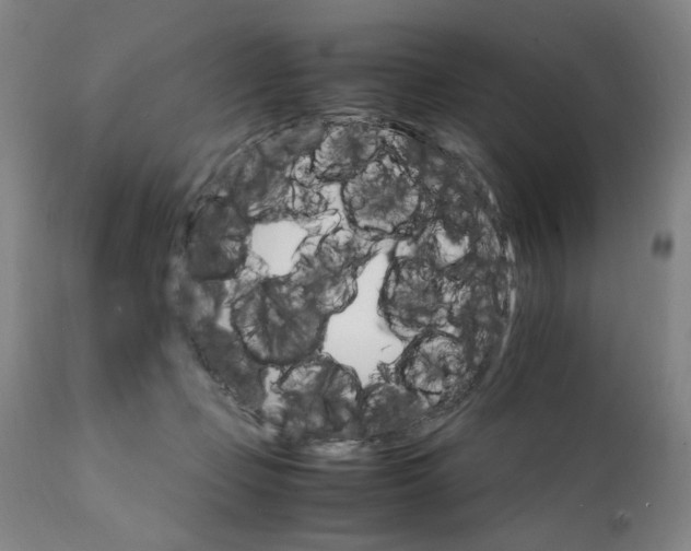 X0000111230365200907161322